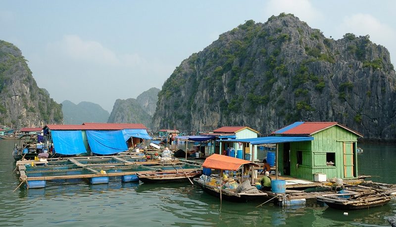 Cai Beo floating village in Lan Ha Bay
