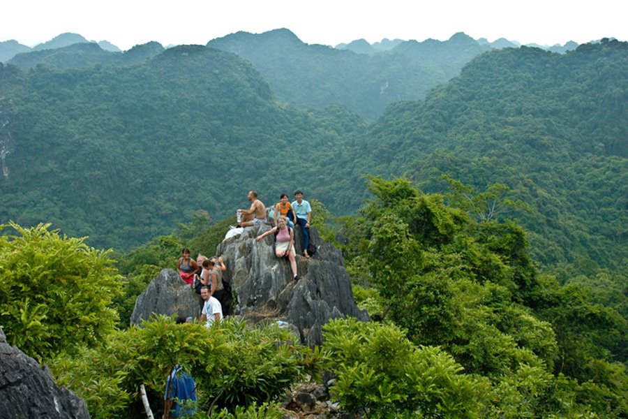 Kim Giao Forest in Cat Ba Island for Green Photogenic Adventure » Lan ...