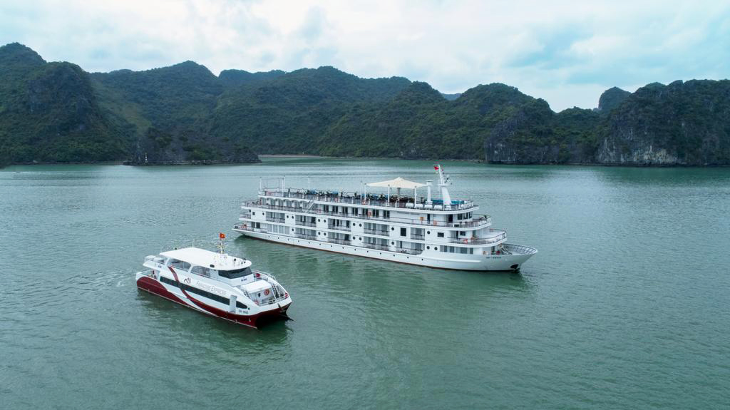 paradise grand cruise lan ha bay