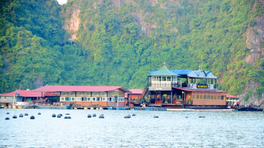 Exploring Halong Bay’s Hidden Gem: The Pearl Farm Experience